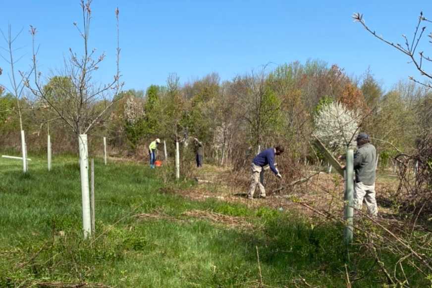 Township building with solar panels