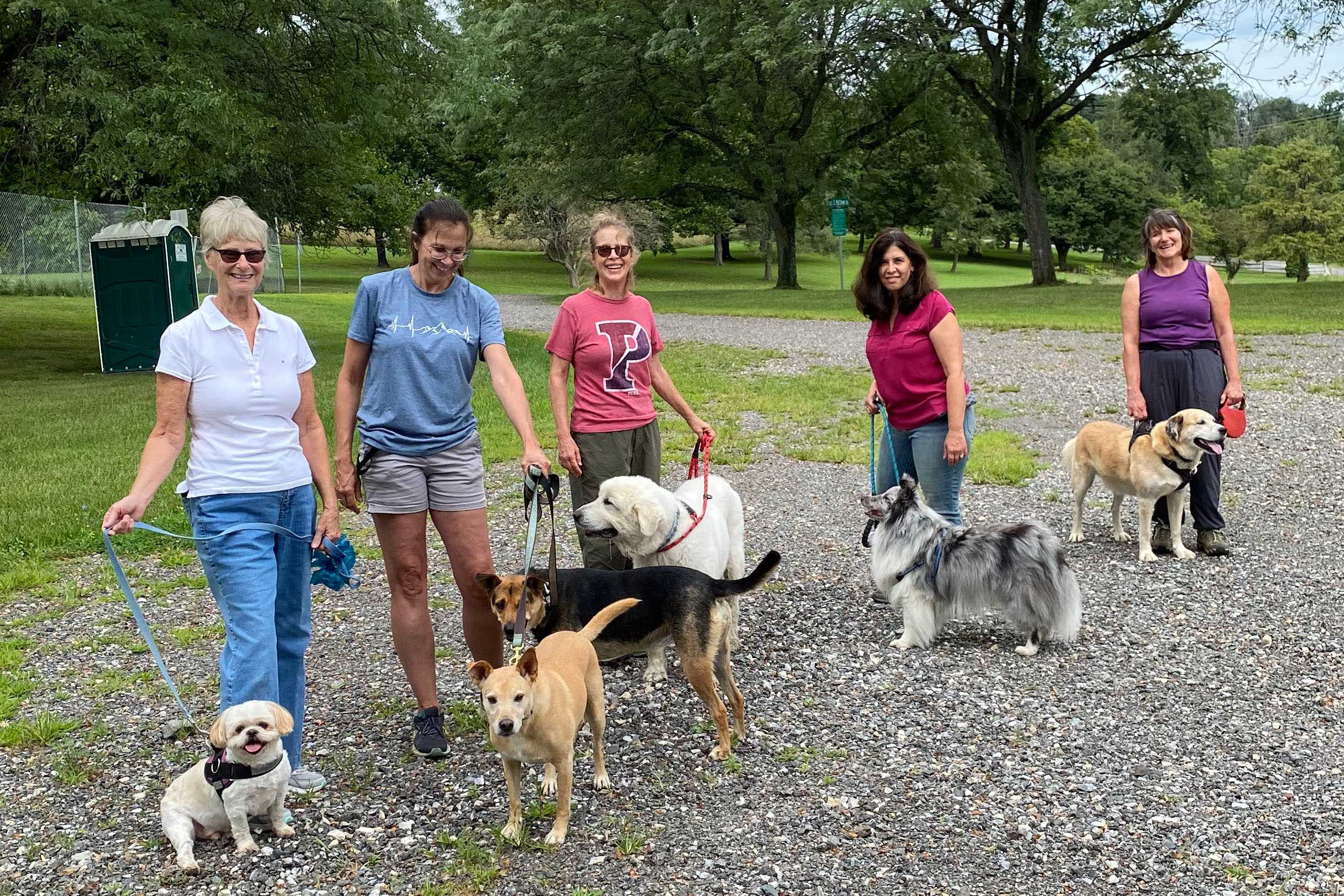Community dog walk