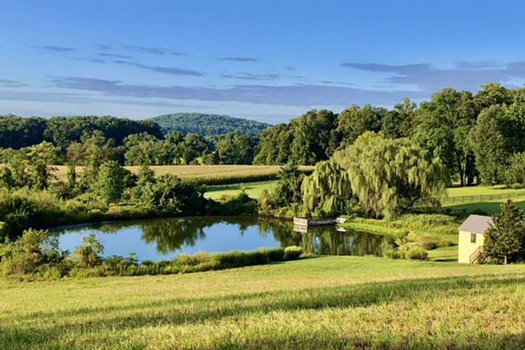 Landscape view at Birchrun road